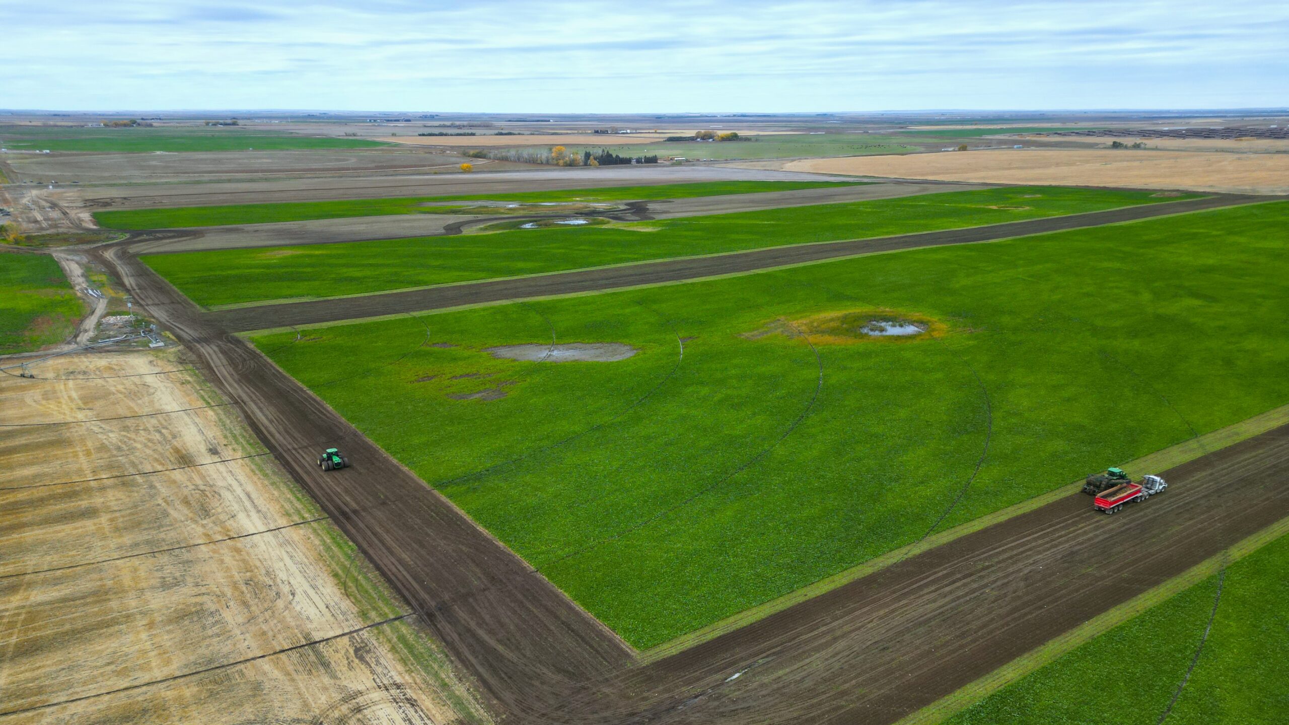 Alberta farm field during harvest